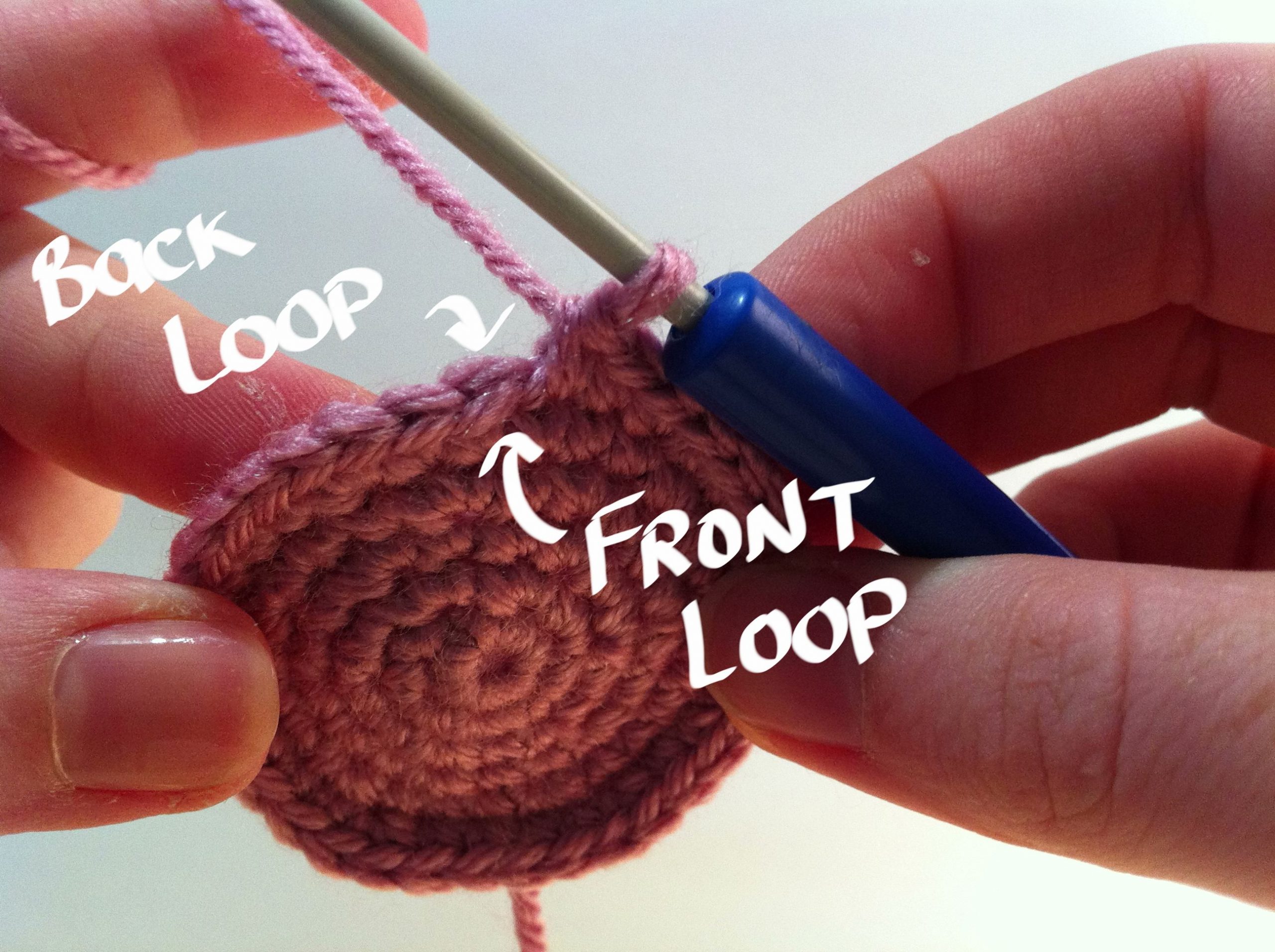 Picture of a single crochet pointing out which is the front loop and which is the back loop